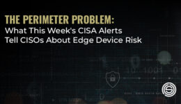 The-Perimeter-Problem